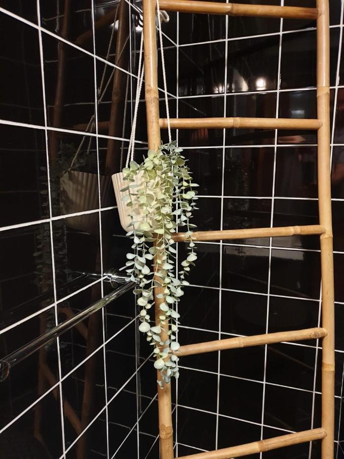Vivenda Oliveira - Alojamento Local Lamego Eksteriør bilde